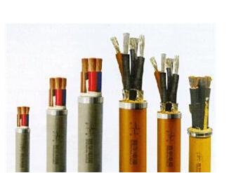 特种电缆